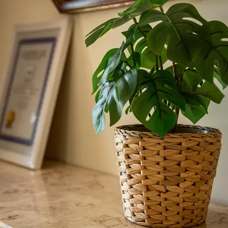 River View House Santa Cruz do Lima